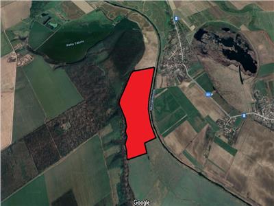 Vanzare teren agricol Cernica - Fundeni - Plataresti, ILFOV