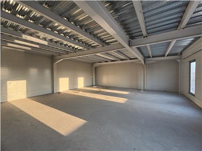 Vanzare depozit/hala/spatiu industrial Mogosoaia - Centura