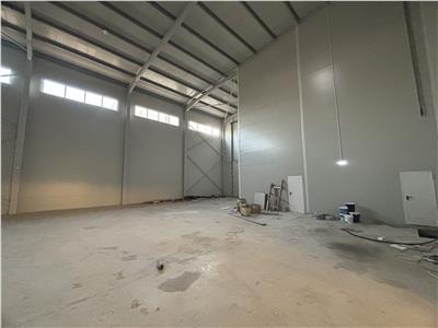 Vanzare depozit/hala/spatiu industrial Mogosoaia - Centura