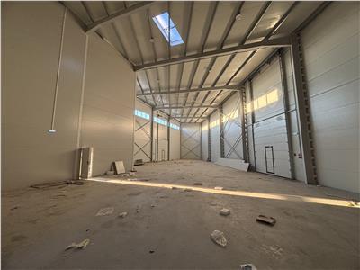 Vanzare depozit/hala/spatiu industrial Mogosoaia - Centura