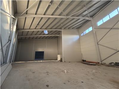 Vanzare depozit/hala/spatiu industrial Mogosoaia - Centura