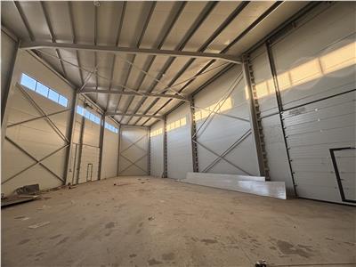 Vanzare depozit/hala/spatiu industrial Mogosoaia - Centura