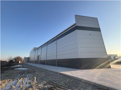 Vanzare depozit/hala/spatiu industrial Mogosoaia - Centura