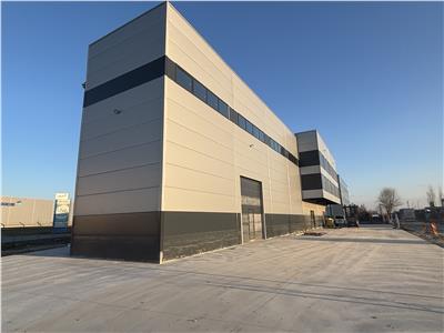 Vanzare depozit/hala/spatiu industrial Mogosoaia - Centura