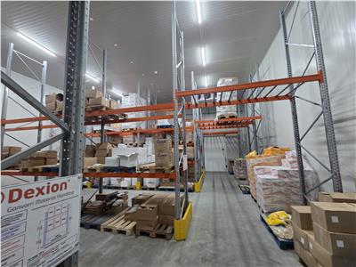 Inchiriere depozit frigorific congelare/hala/spatiu industrial Otopeni - Centura, Ilfov