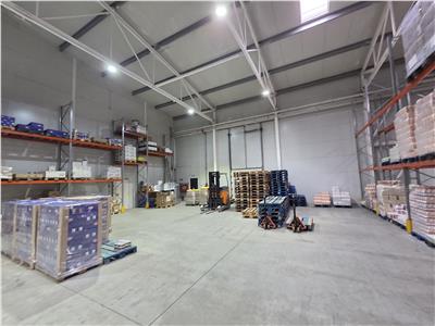 Inchiriere depozit frigorific congelare/hala/spatiu industrial Otopeni - Centura, Ilfov