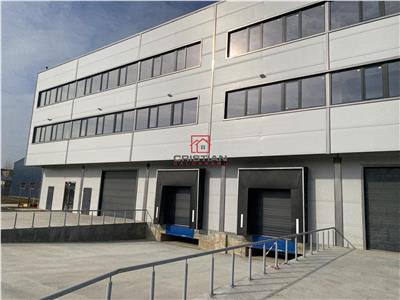 Vanzare depozit/spatiu industrial/hala Drumul Intre Tarlale - Th.Pallady