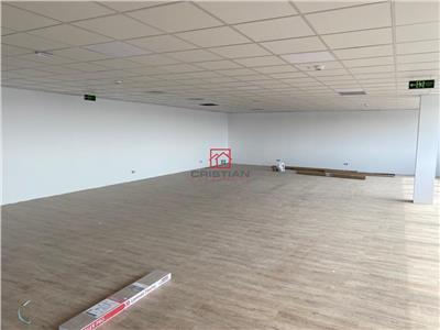 Vanzare depozit/spatiu industrial/hala Drumul Intre Tarlale - Th.Pallady