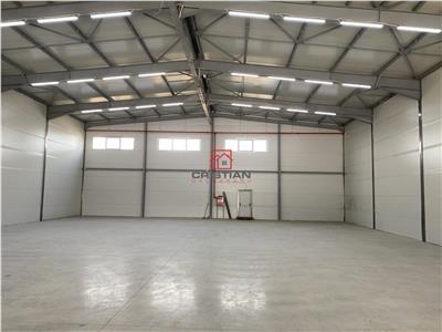 Vanzare depozit/spatiu industrial/hala Drumul Intre Tarlale - Th.Pallady