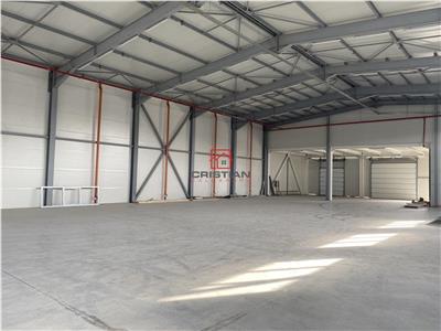 Vanzare depozit/spatiu industrial/hala Drumul Intre Tarlale - Th.Pallady