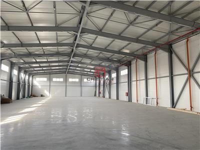 Vanzare depozit/spatiu industrial/hala Drumul Intre Tarlale - Th.Pallady