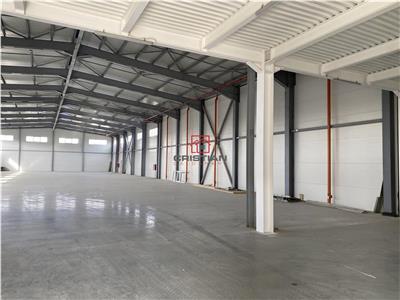 Vanzare depozit/spatiu industrial/hala Drumul Intre Tarlale - Th.Pallady