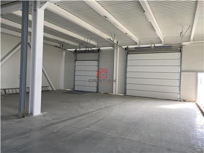 Vanzare depozit/spatiu industrial/hala Drumul Intre Tarlale - Th.Pallady