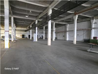 Inchiriere depozit/hala/spatiu industrial Buftea - DN1A, ILFOV