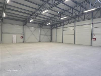 Vanzare depozit/hala/spatiu industrial Mogosoaia - Buftea
