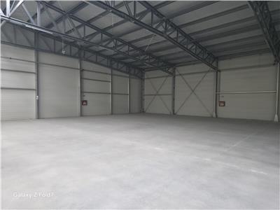 Vanzare depozit/hala/spatiu industrial Mogosoaia - Buftea