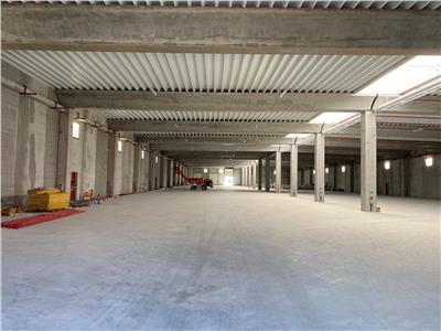 Inchiriere depozit/hala/spatiu industrial Chitila - Rudeni, Ilfov