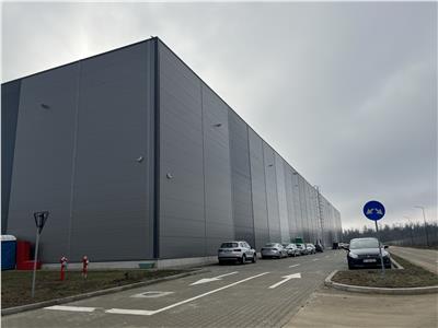Inchiriere depozit/hala/spatiu industrial Theodor Pallady - Cernica - A2 - A0 - Manolache