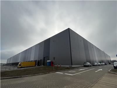 Inchiriere depozit/hala/spatiu industrial Theodor Pallady - Cernica - A2 - A0 - Manolache