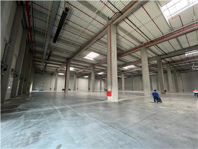 Inchiriere depozit/hala/spatiu industrial Theodor Pallady - Cernica - A2 - A0 - Manolache
