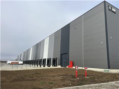 Inchiriere depozit/hala/spatiu industrial Cernica - A2- A0 -Manolache