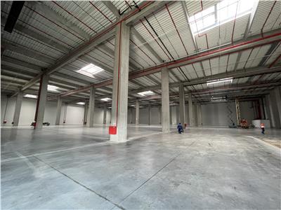 Inchiriere depozit/hala/spatiu industrial Cernica - A2- A0 -Manolache