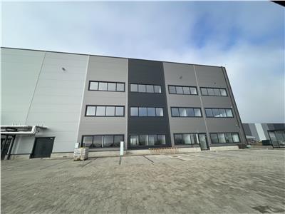 Inchiriere depozit/hala/spatiu industrial Theodor Pallady - Cernica - A2 - Manolache