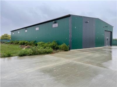 Inchiriere depozit/hala/spatiu industrial Otopeni - Odai - Mogosoaia