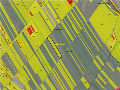 Vanzare teren Magurele - Varteju - Centura, ILFOV