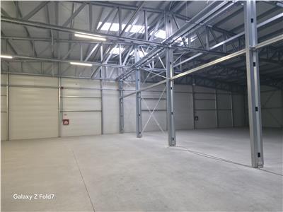 Inchiriere depozit/hala/spatiu industrial Mogosoaia - Buftea
