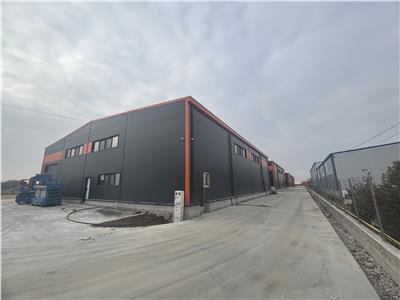 Inchiriere depozit/hala/spatiu industrial Pantelimon - Centura