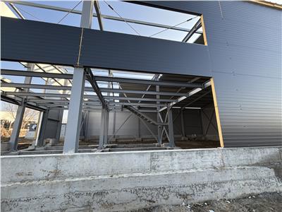 Vanzare depozit/hala/spatiu industrial Theodor Pallady - Drumul Intre Tarlale - Oxigenului