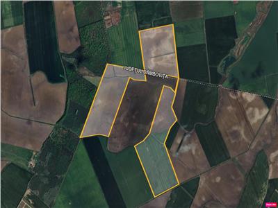 Vanzare teren extravilan/agricol Crevedia - Cocani - DN1 A, Dambovita