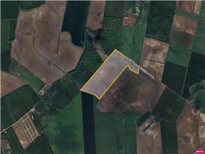 Vanzare teren extravilan/agricol Crevedia - Cocani - DN1 A, Dambovita