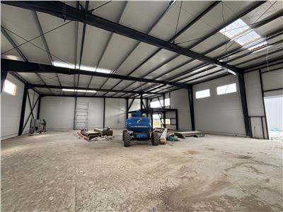 Inchiriere depozit/hala/spatiu industrial Theodor Pallady - Oxigenului