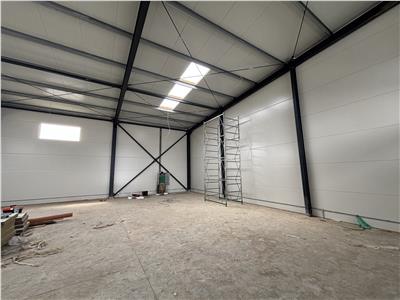 Inchiriere depozit/hala/spatiu industrial Theodor Pallady - Oxigenului