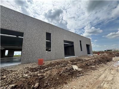 Vanzare depozit/spatiu industrial/hala Chitila - Rudeni, ILFOV