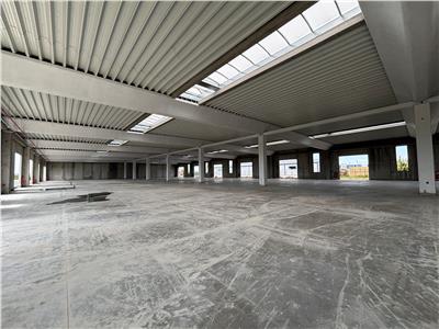 Vanzare depozit/spatiu industrial/hala Chitila - Rudeni, ILFOV
