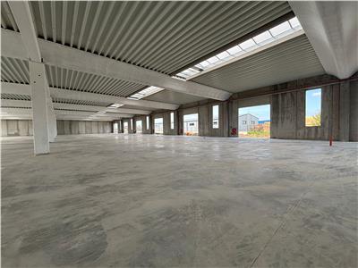 Vanzare depozit/spatiu industrial/hala Chitila - Rudeni, ILFOV