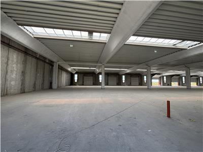 Vanzare depozit/spatiu industrial/hala Chitila - Rudeni, ILFOV