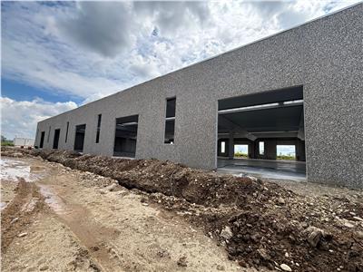 Vanzare depozit/spatiu industrial/hala Chitila - Rudeni, ILFOV