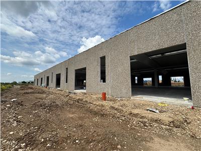 Vanzare depozit/spatiu industrial/hala Chitila - Rudeni, ILFOV