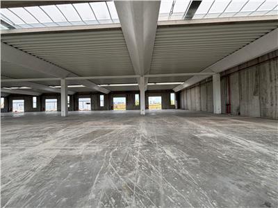 Vanzare depozit/spatiu industrial/hala Chitila - Rudeni, ILFOV