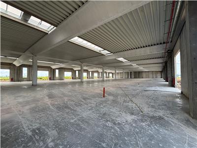Vanzare depozit/spatiu industrial/hala Chitila - Rudeni, ILFOV