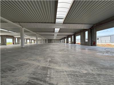 Vanzare depozit/spatiu industrial/hala Chitila - Rudeni, ILFOV