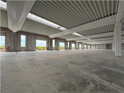 Vanzare depozit/spatiu industrial/hala Chitila - Rudeni, ILFOV