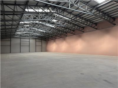 Inchiriere depozit/hala/spatiu industrial Buftea - Tamasi, Ilfov
