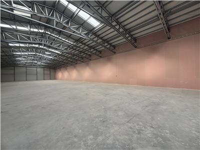 Inchiriere depozit/hala/spatiu industrial Buftea - Tamasi, Ilfov