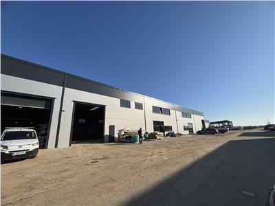 Vanzare depozit/hala/spatiu industrial Theodor Pallady - Drumul Intre Tarlale - Oxigenului