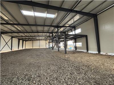Vanzare depozit/hala/spatiu industrial Theodor Pallady - Drumul Intre Tarlale - Oxigenului